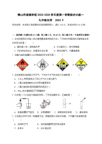 2023-2024学年广东省江门市鹤山市城镇学校九年级（上）综合训练化学试卷.