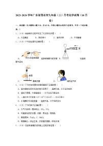 2023-2024学年广东省茂名市九年级（上）月考化学试卷（10月份）