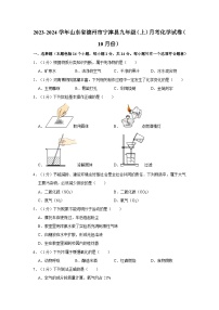 2023-2024学年山东省德州市宁津县九年级（上）月考化学试卷（10月份）