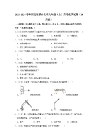 2023-2024学年河北省邢台七中九年级（上）月考化学试卷（10月份）