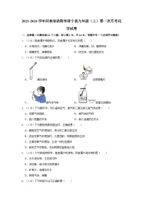 2023-2024学年河南省洛阳市洛宁县九年级（上）第一次月考化学试卷