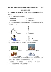 2023-2024学年安徽省宿州市灵璧县曙光中学九年级（上）第一次月考化学试卷