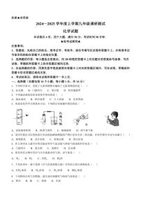 [化学]河南省信阳市平桥区2024～2025学年九年级上学期10月月考试题(有答案)