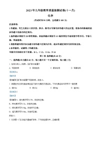 广西柳州市城中区2023-2024学年九年级上学期期中化学试题（解析版）