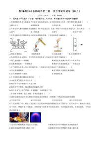 湖南省长沙市长郡雨花外国语学校2024-2025学年九年级上学期第一次月考化学试卷