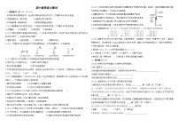 人教版化学九上01-期中素养综合测试（含解析）