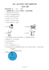 2023-2024学年河南师范大学附属中学九上11月期中考试化学试卷及答案