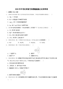 2025年中考化学复习热搜题速递之化学用语  学案