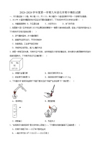 2023-2024学年安徽省合肥市包河区西递中学九年级（上）期中模拟化学试卷.