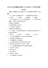 2023-2024学年安徽省合肥四十八中九年级（上）月考化学试卷（10月份）