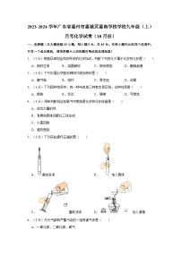 2023-2024学年广东省惠州市惠城区惠南学校学校九年级（上）月考化学试卷（10月份）