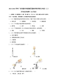 2023-2024学年广东省惠州市惠城区惠南学校学校九年级（上）月考化学试卷（10月份）