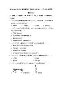 2023-2024学年安徽省阜阳市太和县九年级（上）月考化学试卷（10月份）