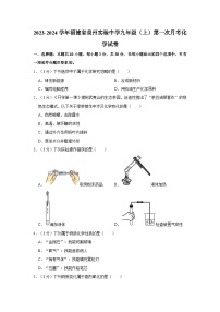 2023-2024学年福建省泉州实验中学九年级（上）第一次月考化学试卷