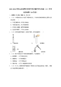 2023-2024学年山东省枣庄市市中区乡镇中学九年级（上）月考化学试卷（10月份）