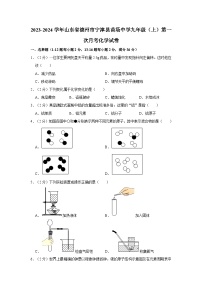 2023-2024学年山东省德州市宁津县苗场中学九年级（上）第一次月考化学试卷