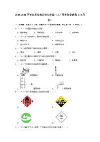 2023-2024学年江苏省南京市九年级（上）月考化学试卷（10月份）