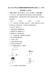 2023-2024学年山东省潍坊市高密市滨北学校九年级（上）月考化学试卷（10月份）