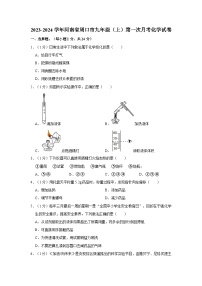 2023-2024学年河南省周口市九年级（上）第一次月考化学试卷