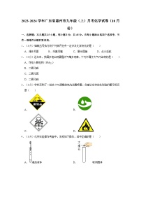 2023-2024学年广东省惠州市九年级（上）月考化学试卷（10月份）