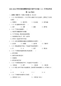 2023-2024学年河南省濮阳市经开四中九年级（上）月考化学试卷（10月份）