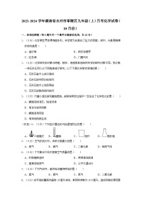 2023-2024学年湖南省永州市零陵区九年级（上）月考化学试卷（10月份）