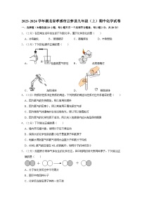 2023-2024学年湖北省孝感市云梦县九年级（上）期中化学试卷