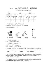 2023-2024学年四川省凉山州九年级（上）期中化学试卷.