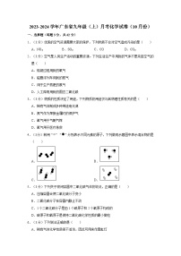 2023-2024学年广东省九年级（上）月考化学试卷（10月份）