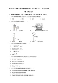 2023-2024学年山东省淄博市张店八中九年级（上）月考化学试卷（10月份）