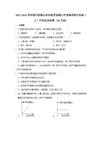 2023-2024学年四川省眉山市东坡区冠城七中实验学校九年级（上）月考化学试卷（10月份）