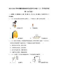 2023-2024学年安徽省淮南市凤台四中九年级（上）月考化学试卷（10月份）