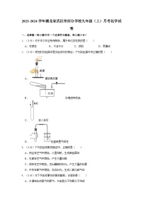 2023-2024学年湖北省武汉市部分学校九年级（上）月考化学试卷