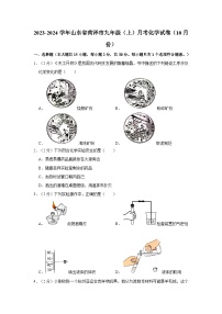 2023-2024学年山东省菏泽市九年级（上）月考化学试卷（10月份）
