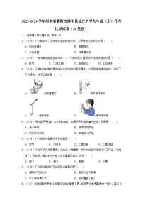 2023-2024学年河南省濮阳市清丰县仙庄中学九年级（上）月考化学试卷（10月份）