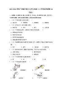 2023-2024学年广西南宁四十七中九年级（上）月考化学试卷（10月份）