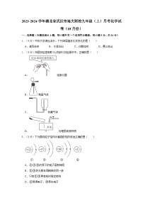 2023-2024学年湖北省武汉市地大附校九年级（上）月考化学试卷（10月份）