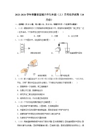 2023-2024学年安徽省宣城六中九年级（上）月考化学试卷（10月份）