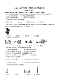 江苏省苏州市新区实验初中2024-2025学年九年级上学期10月份月考化学试卷(无答案)