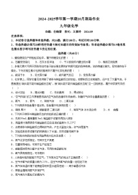 江苏省苏州市文昌实验中学校2024-2025学年九年级上学期10月月考化学试卷(无答案)