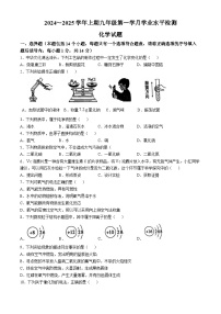 河南省信阳市潢川县第二中学，牛岗中学2024-2025学年九年级上学期10月联考化学试题