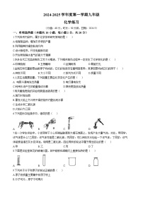 江苏省宿迁市宿城区2024-2025学年九年级上学期9月份化学练习(1)(无答案)