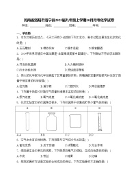 河南省洛阳市洛宁县2025届九年级上学期10月月考化学试卷(含答案)