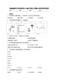 河南省新乡市名校联考2025届九年级上学期10月月考化学试卷(含答案)