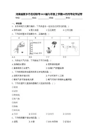 河南省新乡市名校联考2025届九年级上学期10月月考化学试卷(含答案)