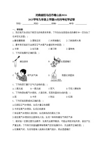 河南省驻马店市确山县2024-2025学年九年级上学期10月月考化学试卷(含答案)