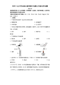 山东省枣庄市第十五中学2024-2025学年九年级上学期期中监测化学试卷