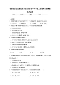 甘肃省嘉峪关市某校2024-2025学年九年级上学期第三次模拟化学试卷