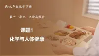 初中化学人教版（2024）九年级下册（2024）课题1 化学与人体健康图文课件ppt