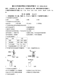 江苏省镇江市外国语学校2024--2025学年九年级上学期10月化学练习试卷(无答案)